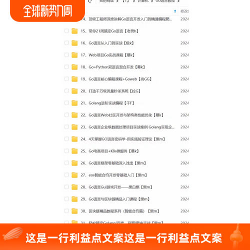 Go语言全套教程从入门到精通 内含超多实战项目