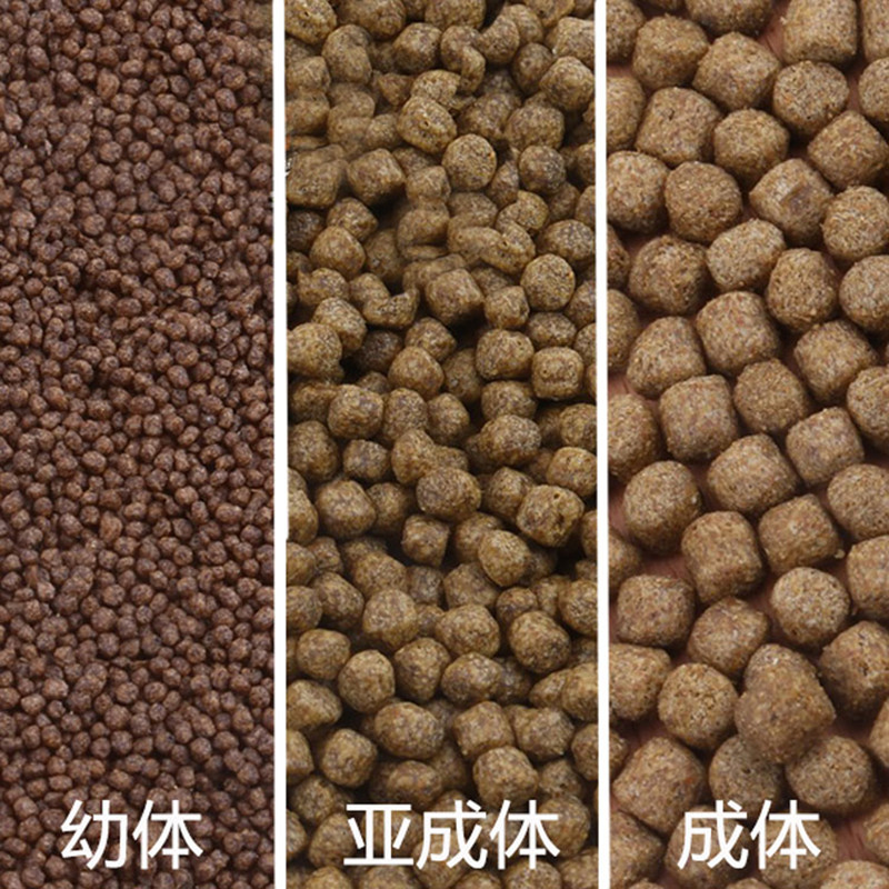 龟粮小乌龟饲料通用颗粒型500g散装草龟食颚龟淡水小虾干巴西龟料