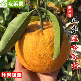 正宗温岭高橙玉环广柑台州新鲜手剥柑橘橙子类水果孕妇当季15斤