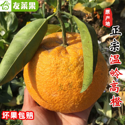 台州温岭高橙橙手剥橙玉环广柑