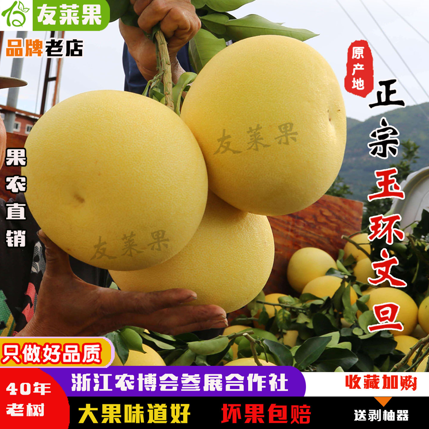 浙江玉环文旦特产孕妇新鲜水果