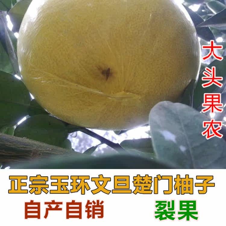 （开口笑）裂果底部开口花皮果玉环文旦柚子新鲜孕妇水果浙江特产