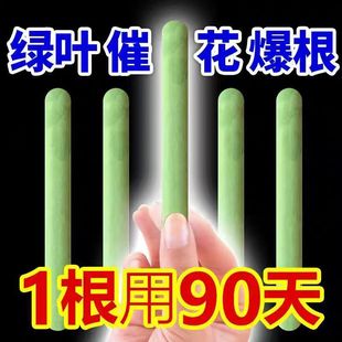 缓释营养棒花肥料家用养花通用型盆栽植物棒状花卉缓释肥营养棒