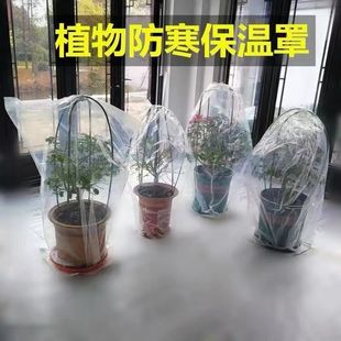 花卉植物树苗园艺盆栽冬季室外防冻透明防寒膜保护罩果树塑料袋子