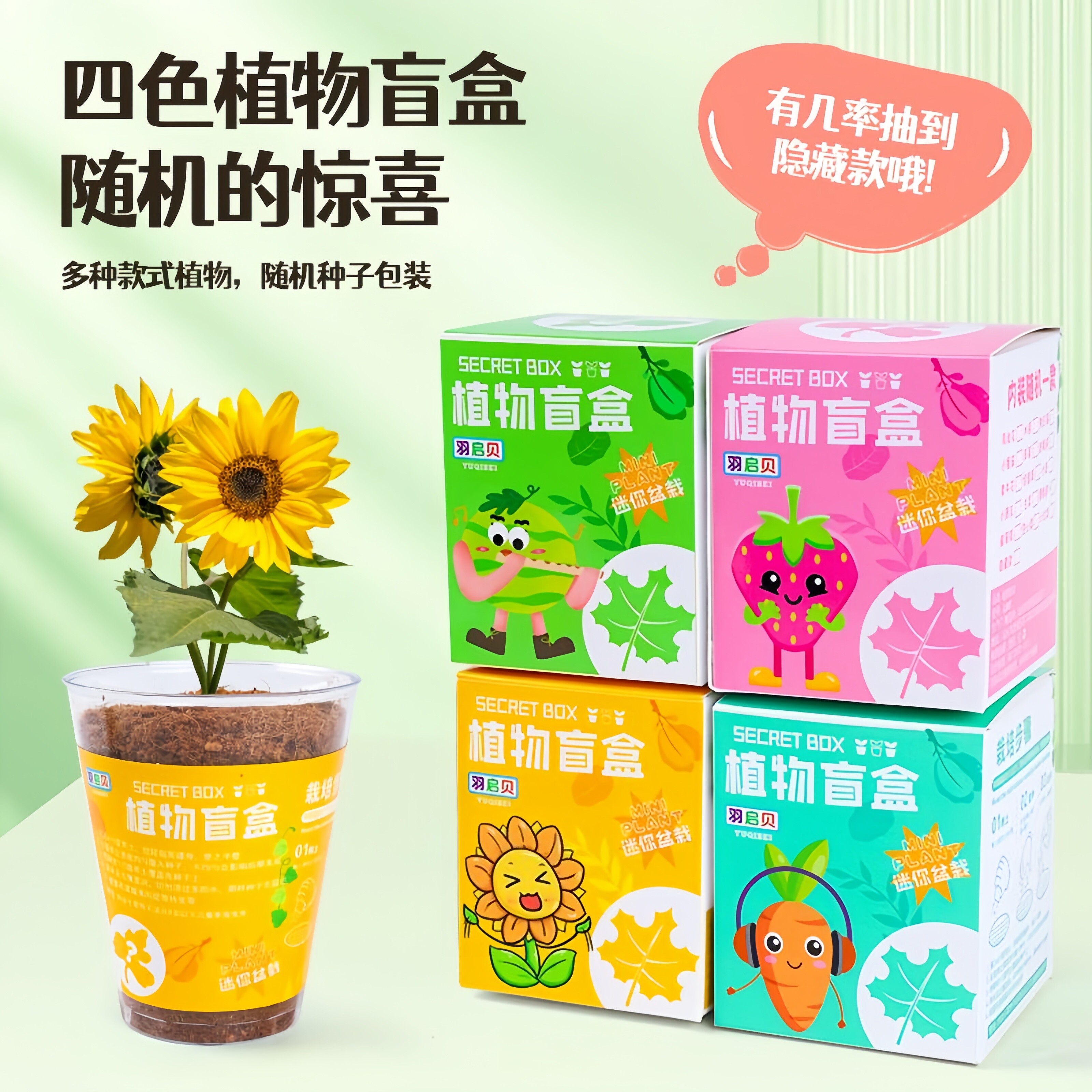 种植盲盒小盆栽儿童开学班级奖励