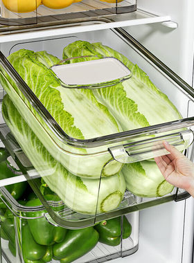 日本超大容量蔬菜收纳盒冰箱收纳保鲜盒厨房食品级水果白菜储物盒
