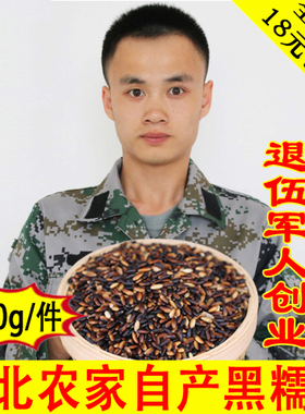 25年东北血糯米5斤紫米新米包粽子饭团奶茶店专用黑糯米五谷杂粮