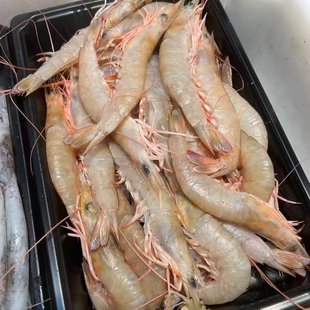 台州东海纯野生海捕麻虾白皮虾毛虾顺丰江浙沪包邮