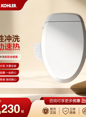 科勒KOHLER多功能冲洗恒动速热全自动智能便盖马桶盖18649T
