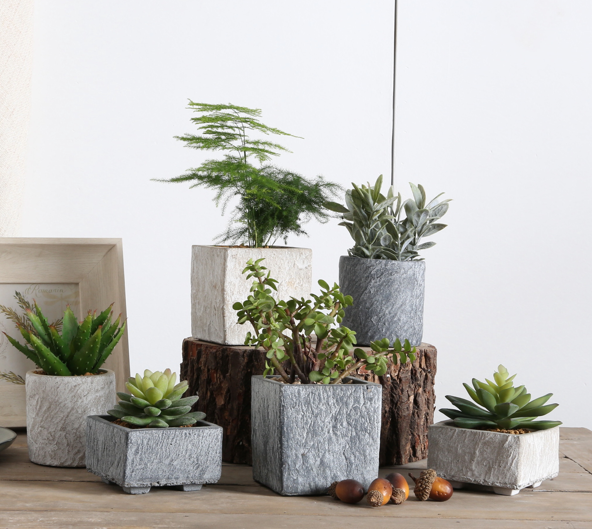 水泥简约创意花盆多肉透气