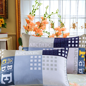 真空包装学生枕头枕芯送枕套宿舍寝室成人单人卡通单个护颈椎特价