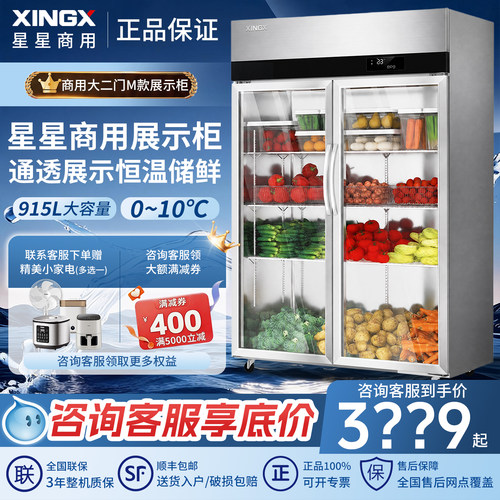 星星商用双开门冷藏展示柜
