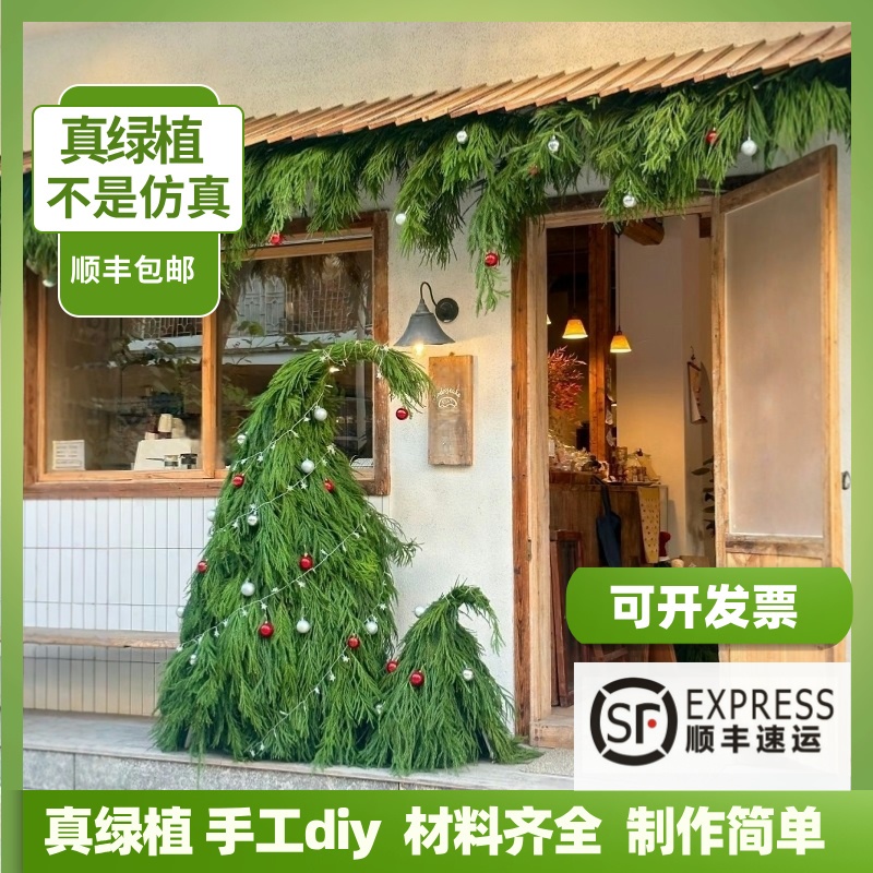 大型圣诞树歪脖子新鲜天竺少女柏树枝diy手工材料ins风户外商场真