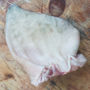 农家散养黑土猪肉新鲜猪耳朵2个生猪耳片黑猪厚实猪耳朵卤菜