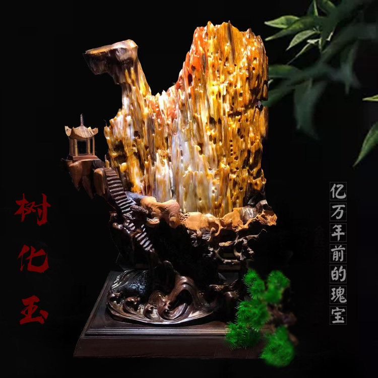 天然多彩精品缅甸树化玉 木化玉招财原石奇石 石头摆件 收藏送礼