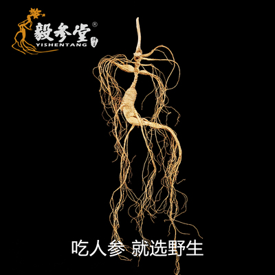 长白山人参15年高龄补品林下参