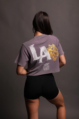 DARCSPORTLA狼头短袖t恤宽松