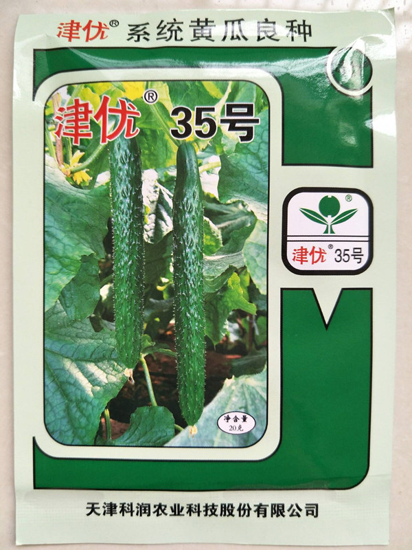 津優(yōu)35黃瓜富陽二號耐熱天津科潤研究所津冬1958越冬早春溫室種植