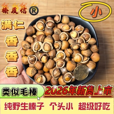 类似毛榛子手拍满仁好吃非常香