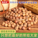 东北特产铁岭野生山榛子新鲜水漏薄皮笨炒开口野生手拍炒熟榛子