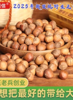 野生东北特产榛子榛质信手拍榛子