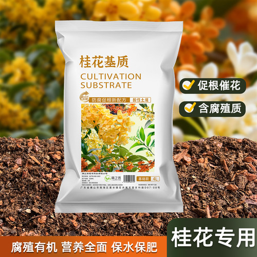 桂花专用土种植盆栽花卉天香台阁
