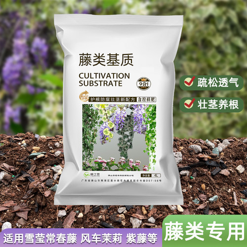 藤类专用种植雪莹常春藤营养土络石室内盆栽养花爬藤月光灯泥炭土