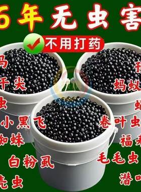 撒施型清病菌颗粒除害虫防病害抗土传专用肥瓜果蔬菜农田通用颗粒