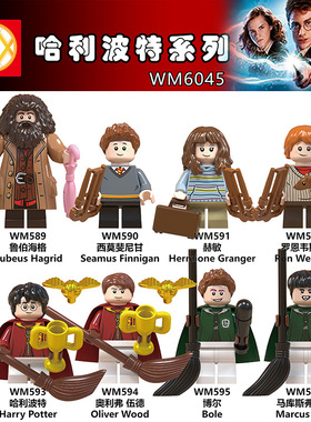 WM6045哈利波特赫敏鲁伯海格罗恩75954益智拼装积木人仔玩具71022