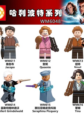 兼容国产WM6048哈利波特雅各布奎妮75954拼装积木人仔玩具71022