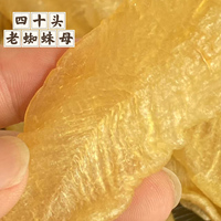 老蜘蛛膠花膠魚膠越蛛母老人小孩咳咳克星