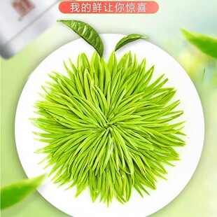 【1斤装】毛尖茶叶2025新茶茶叶信阳绿茶毛尖浓香型耐泡罐装500克