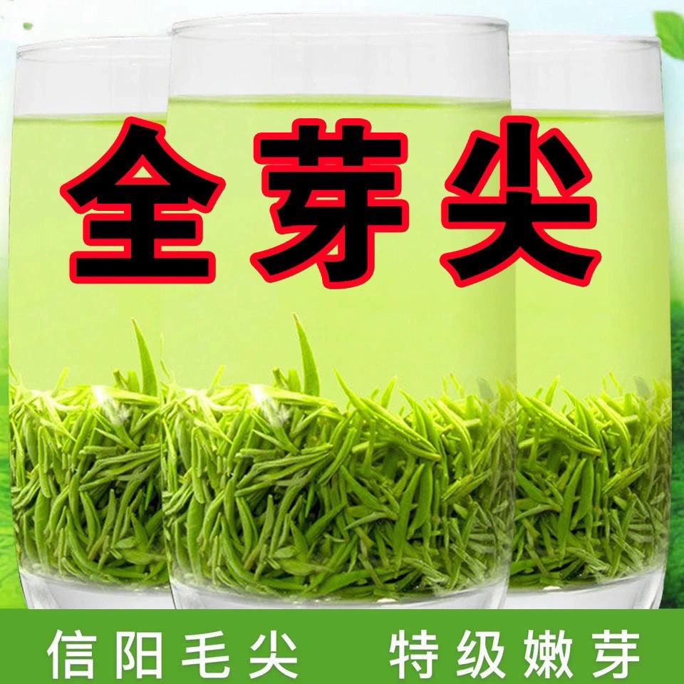 信阳毛尖2021新茶正宗明前特级嫩芽清香型毛尖绿茶茶叶  罐装250g