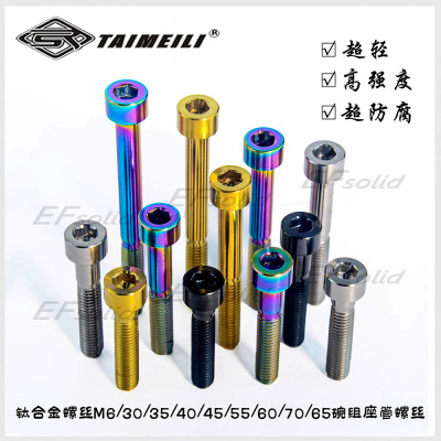 钛合金螺丝柱头锥头TAIMEILI