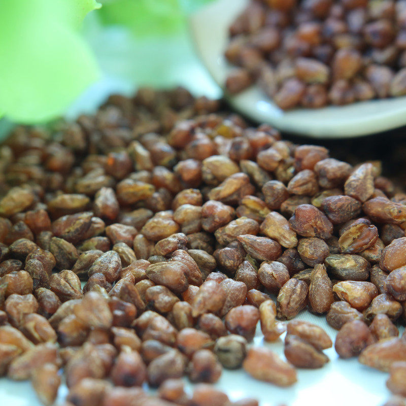 四川大凉山黑炒熟黑苦荞 熟苦荞米 茶完整原粒全胚芽荞子1000克