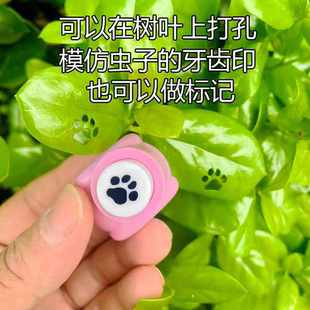 树叶压花器儿童手工花朵印花手工DIY制作裁剪熊掌手工压花器玩具