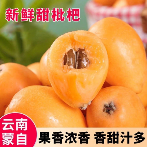 云南蒙自甜枇杷新鲜水果冬季新上市纯甜与酸甜早上摘下午发顺丰