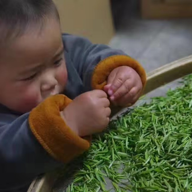 金骏眉50克武夷山桐木关村麻粟庙湾挂墩菜茶头春单芽精品蜜香红茶