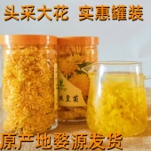 菊花金丝皇菊一朵一杯胎菊去火茶叶江西特产婺源皇菊高山菊花茶