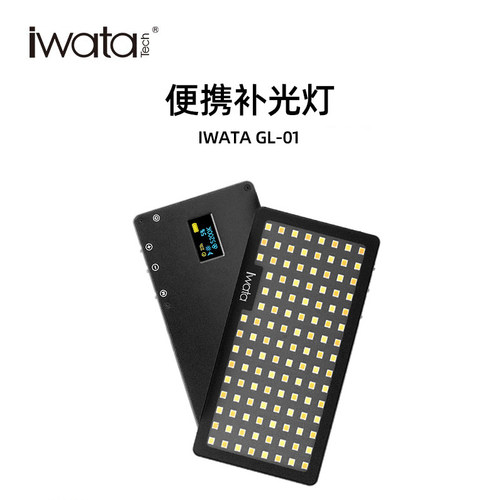 iwata摄影补光灯岩田LED双色温