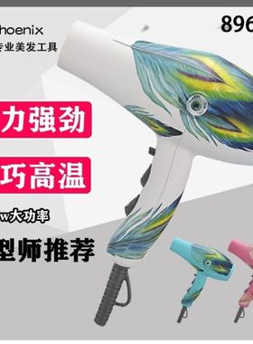 火之凤吹风机发廊专用理发店家用发型师静音速干负离子强风筒8960