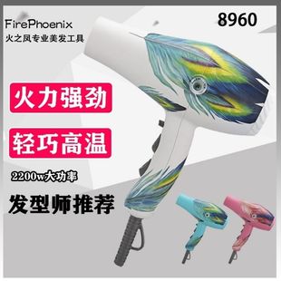 火之凤吹风机发廊专用理发店家用发型师静音速干负离子强风筒8960