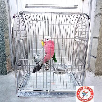 出口级HOKAPET鹦鹉不锈钢外出笼便携笼手提鸟笼中大型鹦鹉外带笼