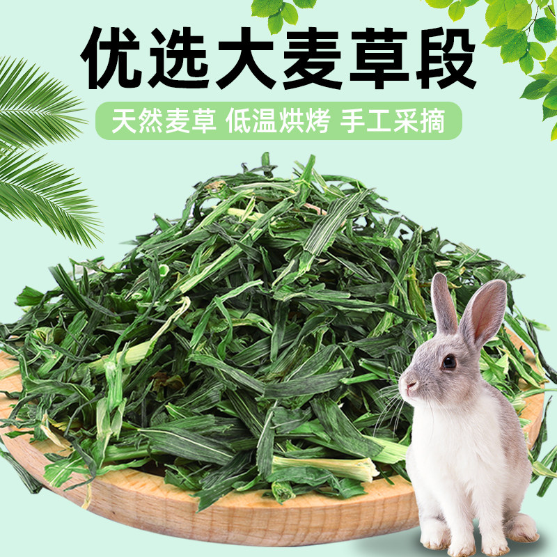 大麦草段兔子粮食荷兰猪龙猫