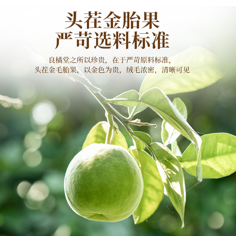 橘红片高档尊贵养生茶止咳化痰