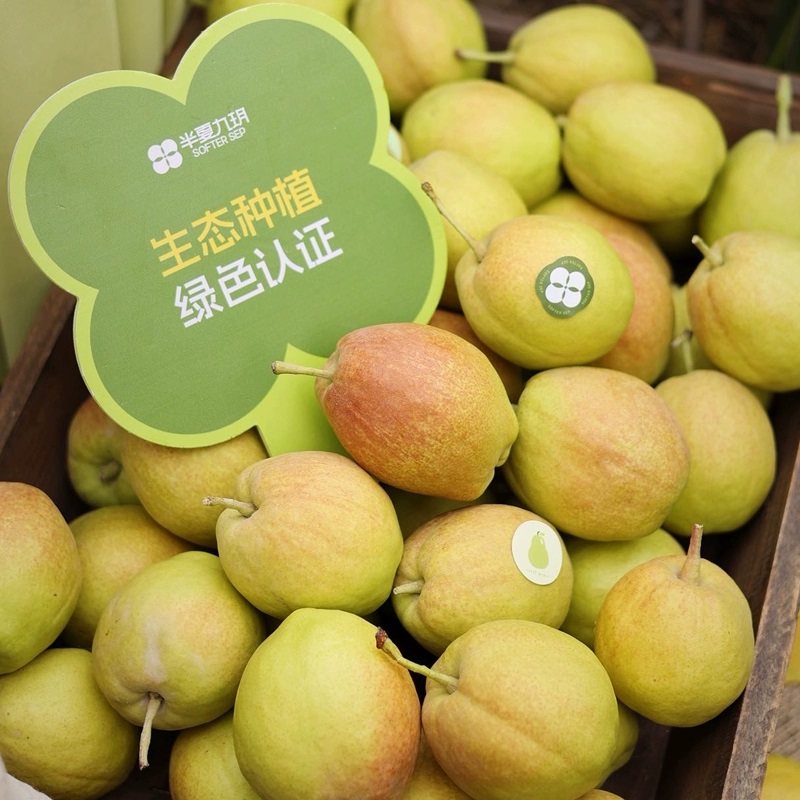 正宗新疆库尔勒香梨脆甜多汁新鲜现摘当季水果青皮梨子送礼