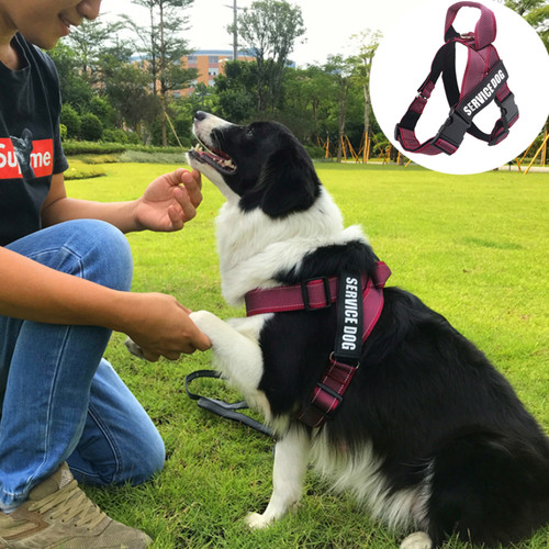 背心式胸背牵引绳边牧中大型犬
