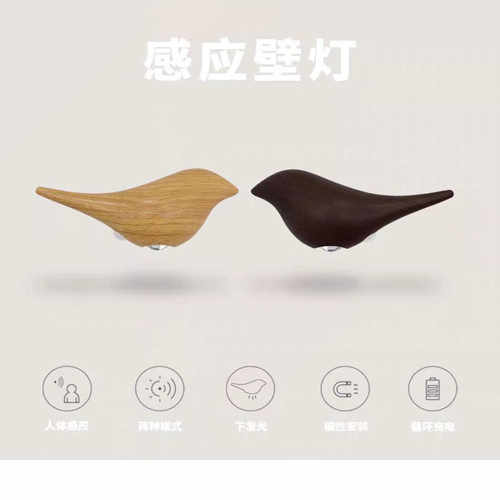 过道玄关ABS感应人来即亮充电款