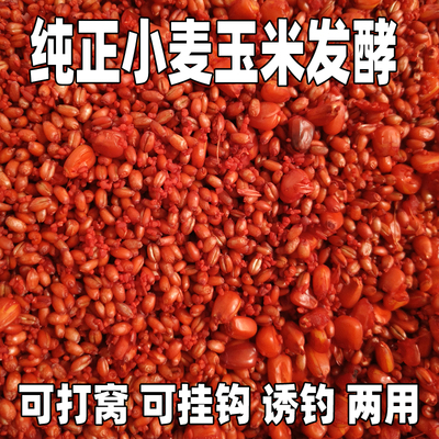 钓鱼打窝谷物发酵谷麦窝料