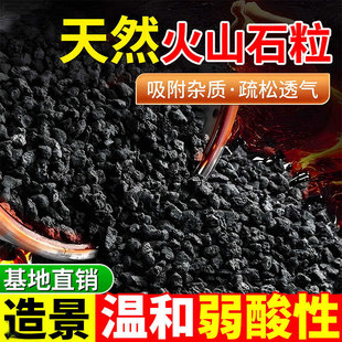 黑色天然火山石颗粒多肉铺面营养土水族铺面造景过滤料底砂酸性